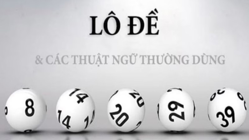 an lo de 2 Thuật ngữ được dùng trong ăn lô đề