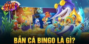 Giới thiệu về bắn cá Bingo