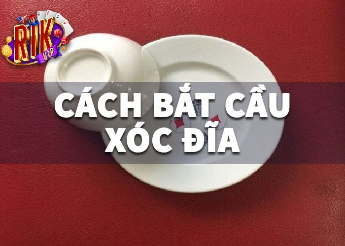 Cách Bắt Cầu Xóc Đĩa Cách Bắt Cầu Xóc Đĩa