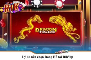 Lý do nên chọn Rồng Hổ tại RikVip