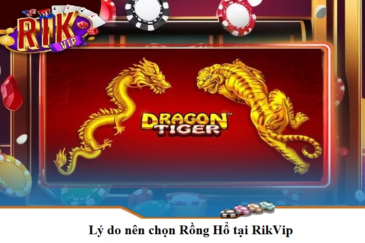 Lý do nên chọn Rồng Hổ tại RikVip