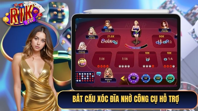 Tổng quan về Bắt Cầu Xóc Đĩa Tổng quan về Bắt Cầu Xóc Đĩa